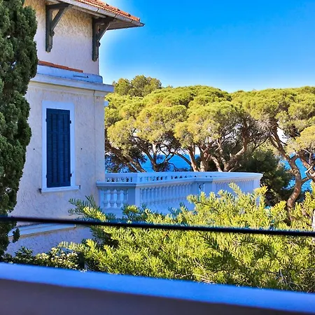 Provencal 3*